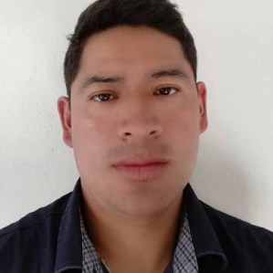 Nilton Peter Perez Melgar