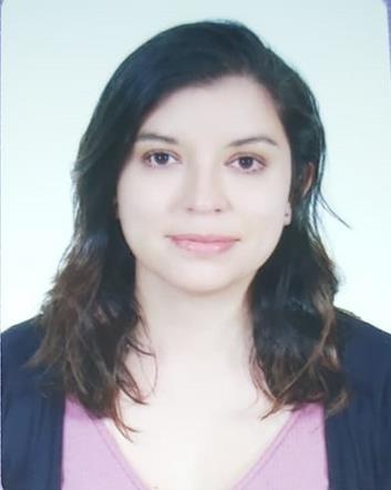 DIANA CAROLINA SOLÓRZANO PARDO