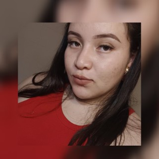 Danna Dayanara Castillo Alcerro