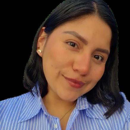 DIANA ISABEL PAREDES COFRE