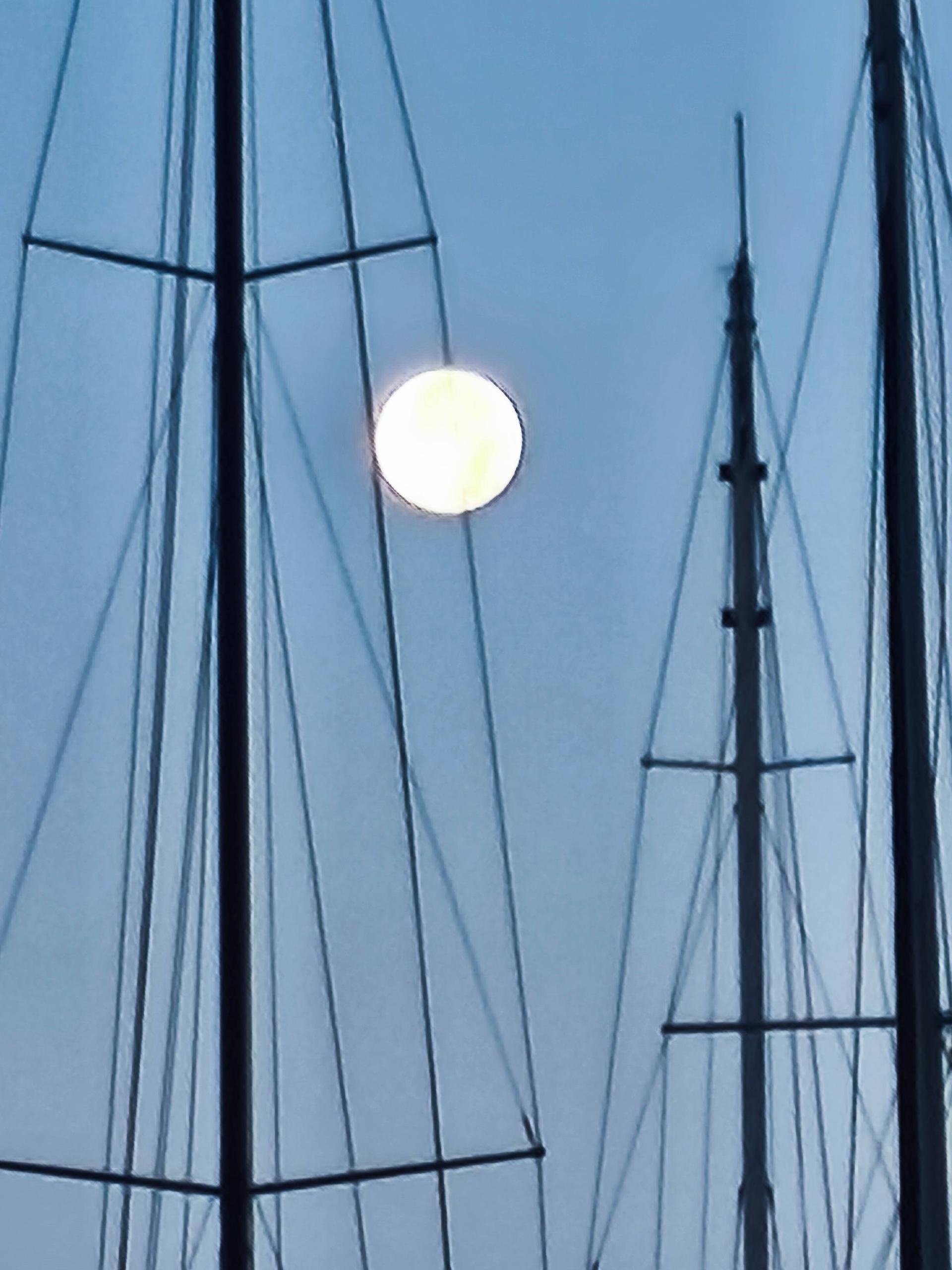web